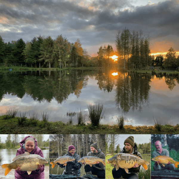 WIN an Exclusive Session for 2 at Mark Pitchers&rsquo; Wood Pool