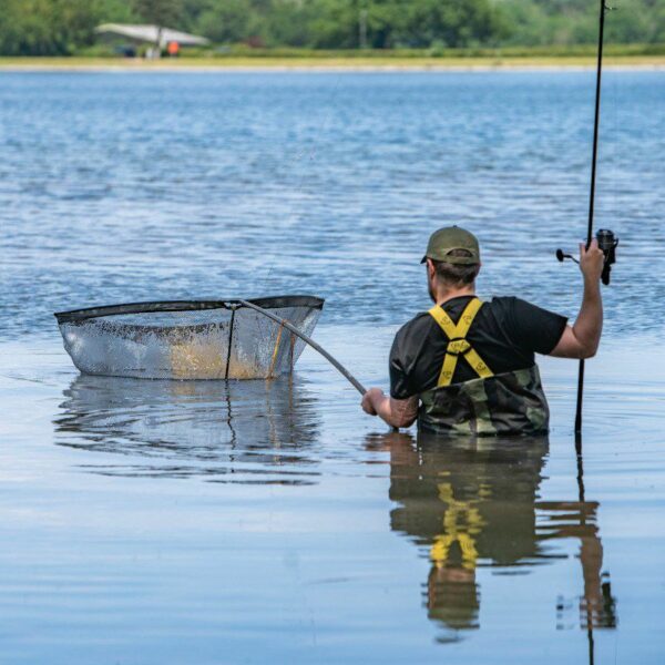 Avid Revolve Landing Net – AUTO DRAW