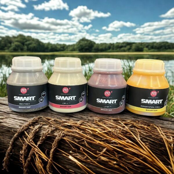 Mainline Smart Dip Bundle